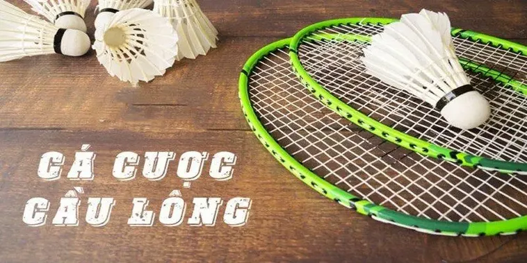Cách Thắng Lớn Khi Cá Cược Cầu Lông Tại SV368