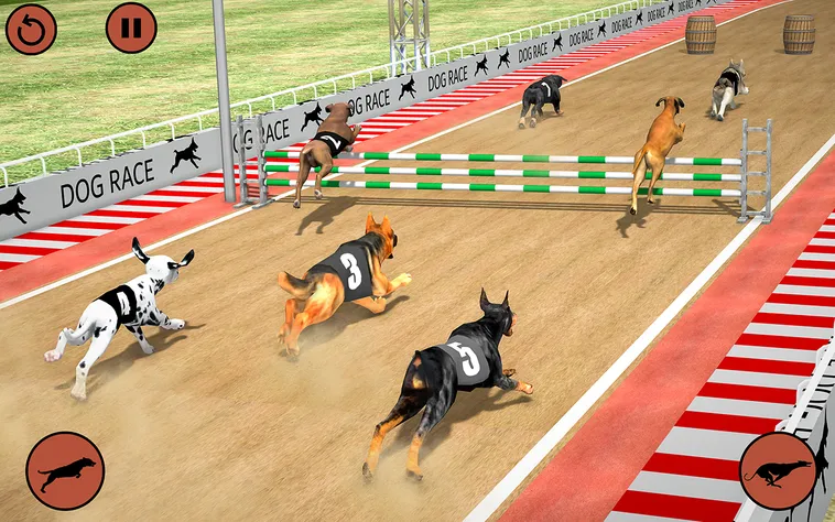 Bí Kíp Chinh Phục Game Đua Chó Tại SV368 Trong Tích Tắc