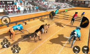 Bí Kíp Chinh Phục Game Đua Chó Tại SV368 Trong Tích Tắc